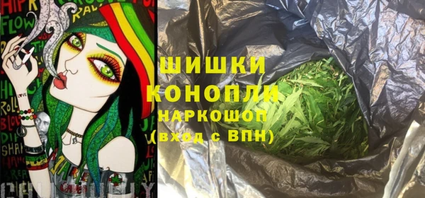 кокс Белокуриха