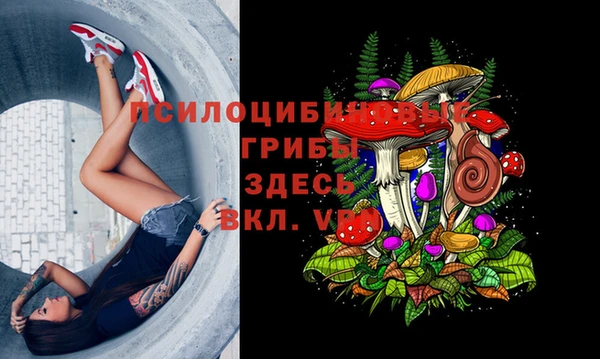 гидра Беломорск