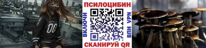 Псилоцибиновые грибы GOLDEN TEACHER  MEGA онион  Торопец 